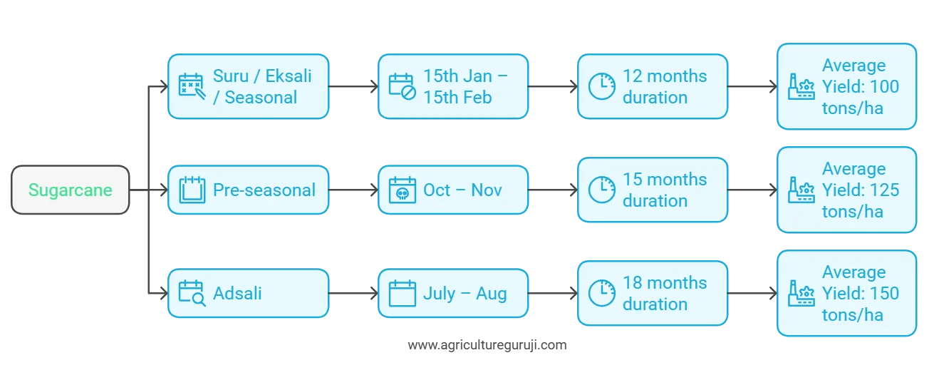 Sugarcane Planting Seasons across India Sugarcane Planting Seasons across India