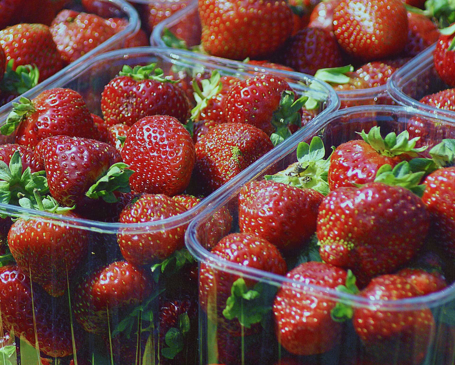 Strawberry packaging