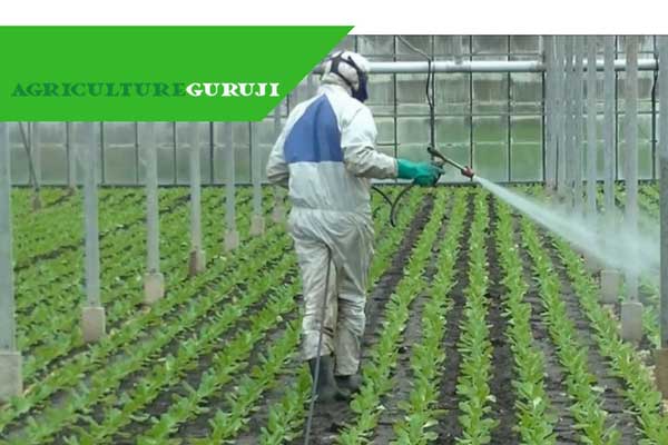 Pest and Disease control in Greenhouse