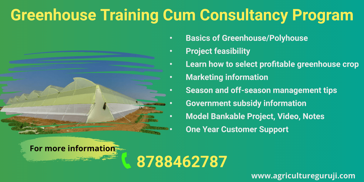 greenhouse training