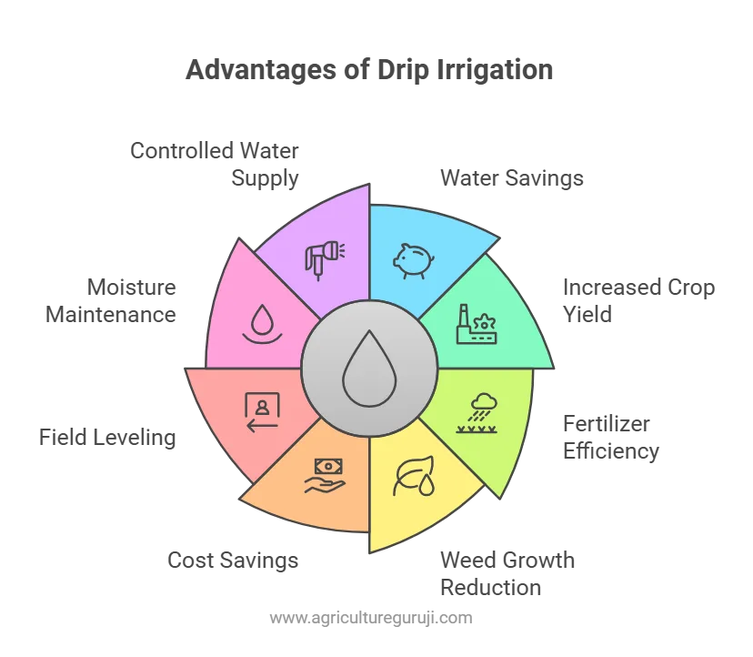 The Ultimate Guide for Drip Irrigation (2025) 2 Advantages of Drip Irrigation
