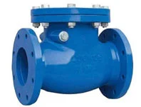 The Ultimate Guide for Drip Irrigation (2025) 16 Non-Return Valve