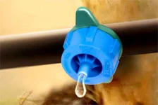 The Ultimate Guide for Drip Irrigation (2025) 10 online dripper