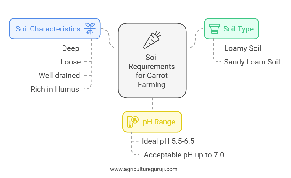 Soil requirement for Carrot farming
