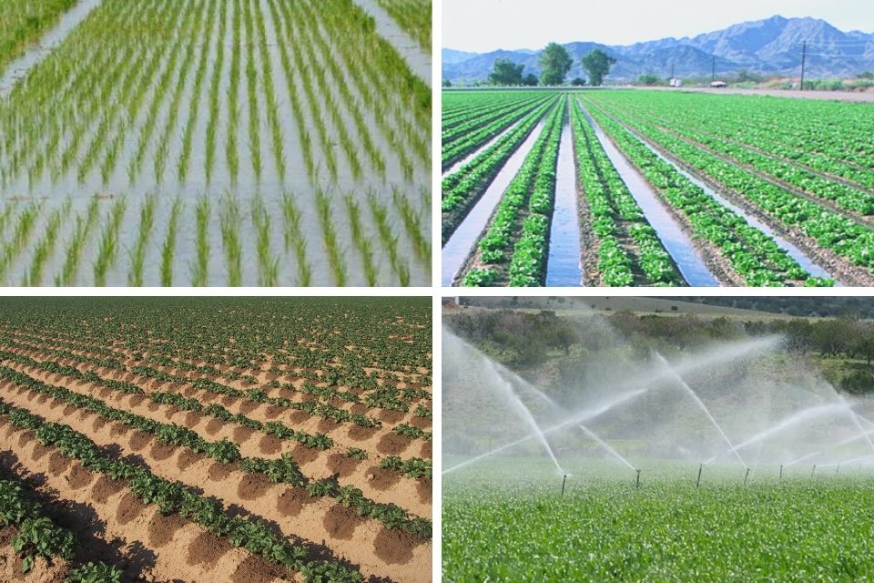 Methods of Irrigation
