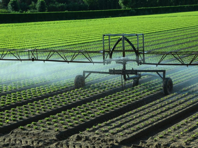 Commercial Irrigation System