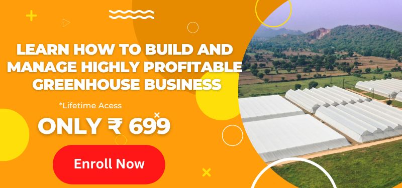 Greenhouse Business Blueprint course