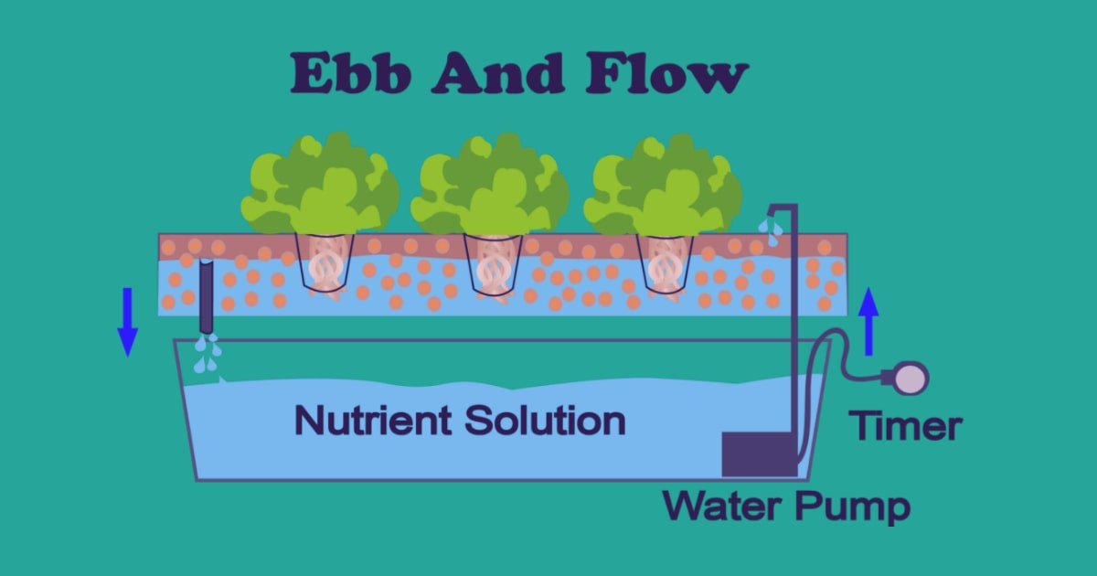 The Ebb and Flow System