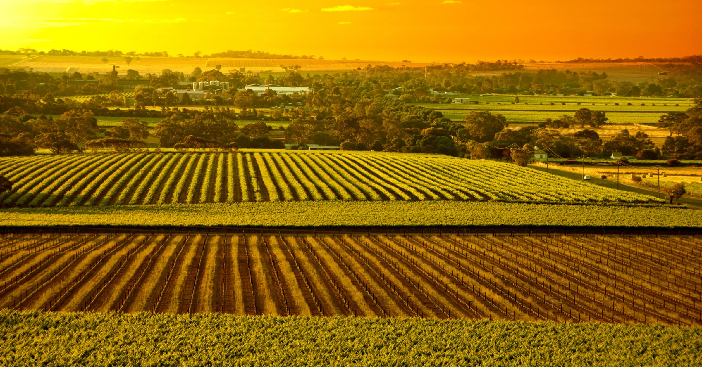 The Crucial Role of Diesel Generators in Agricultural
