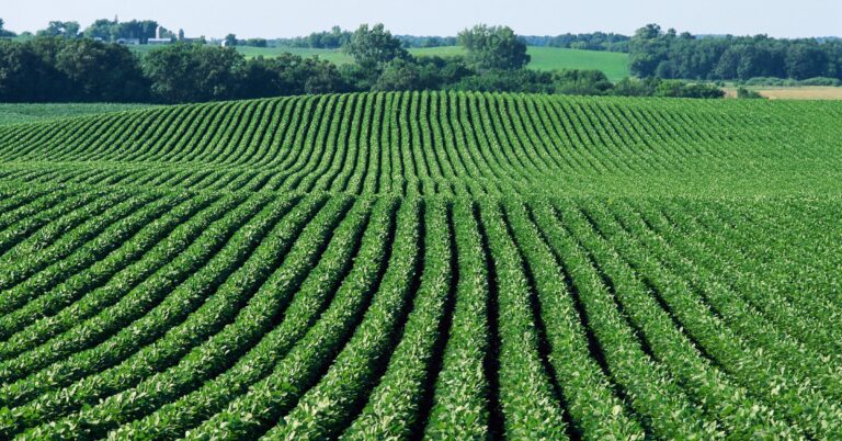 Top 10 Must-Have Tools for Efficient Farm Management