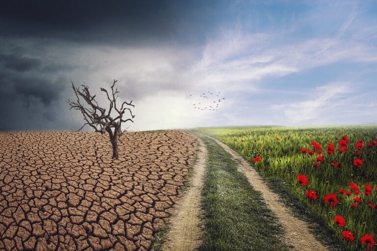 Climate Change on Indian Agriculture