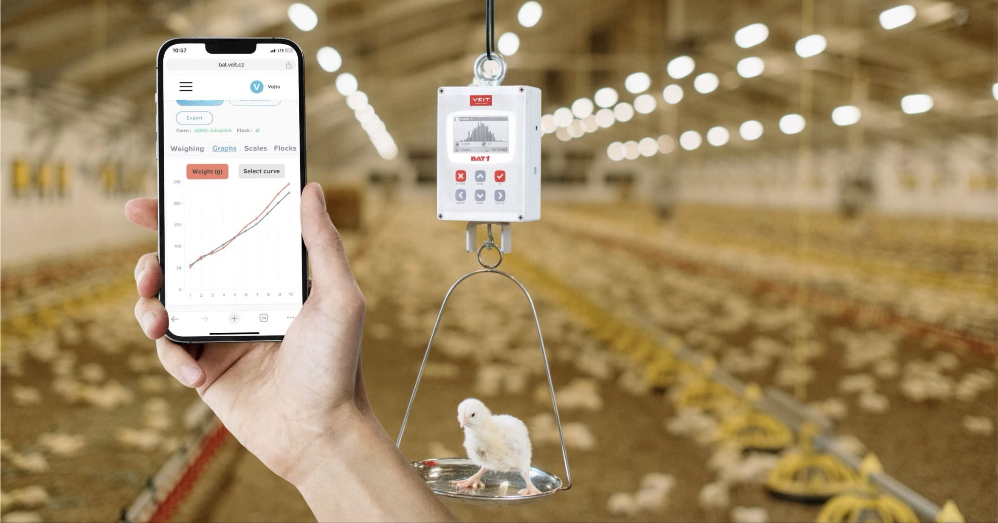 5 Ways Poultry Weighing Can Reduce Your Feed Costs